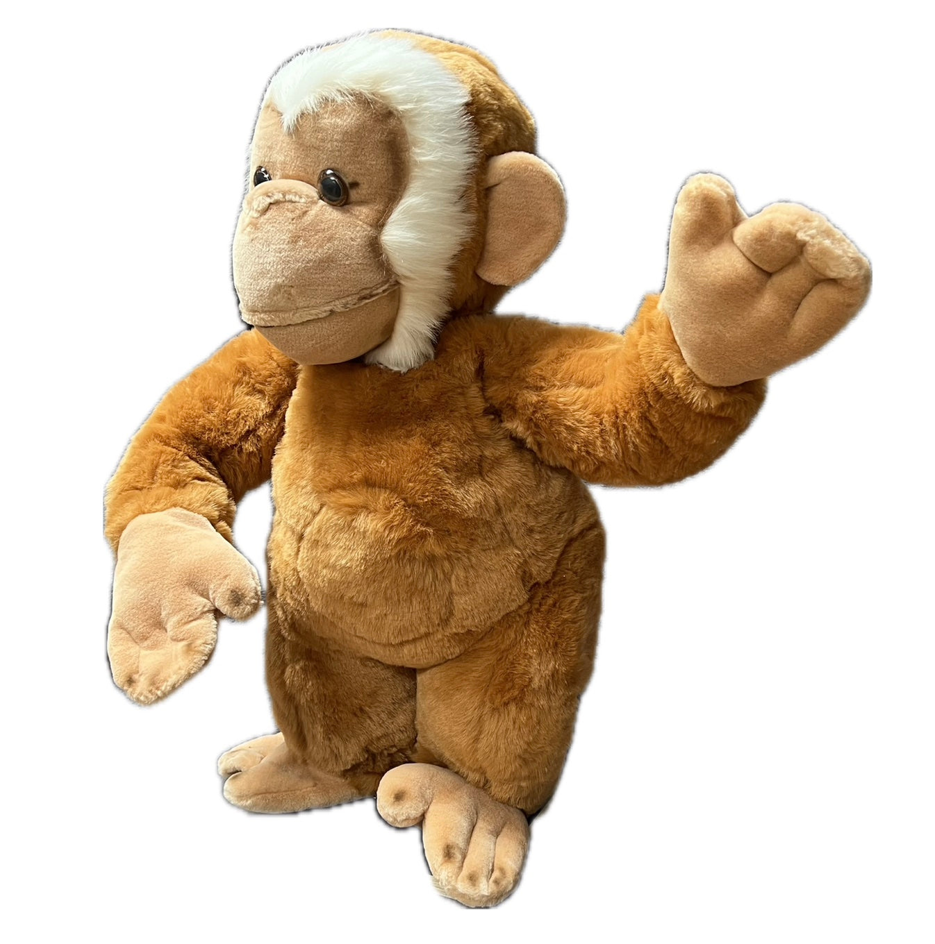 Monkey beige 80 cm with head movement