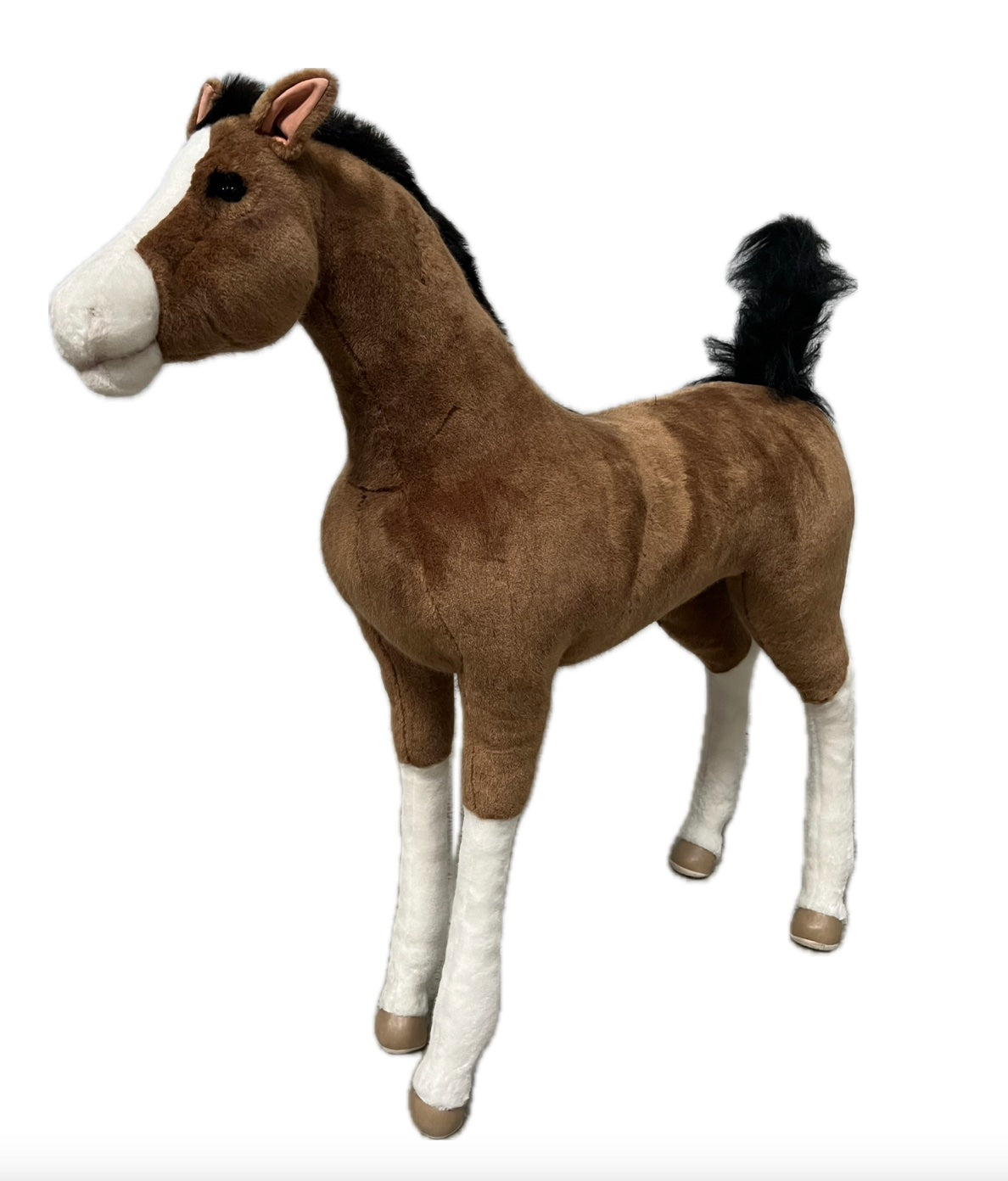 Fohlen