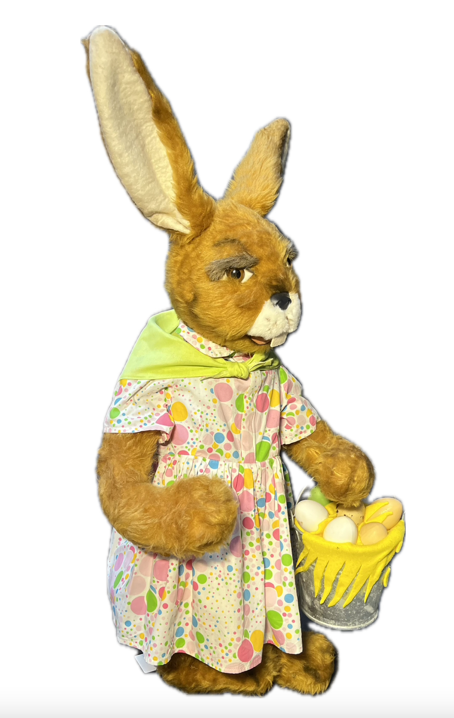 Hare/doe collects eggs in a zinc bucket
