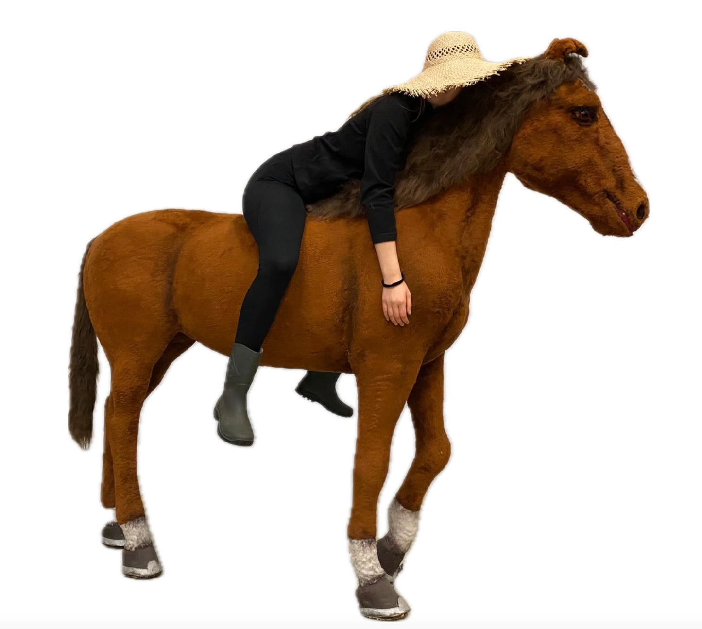Unique horse