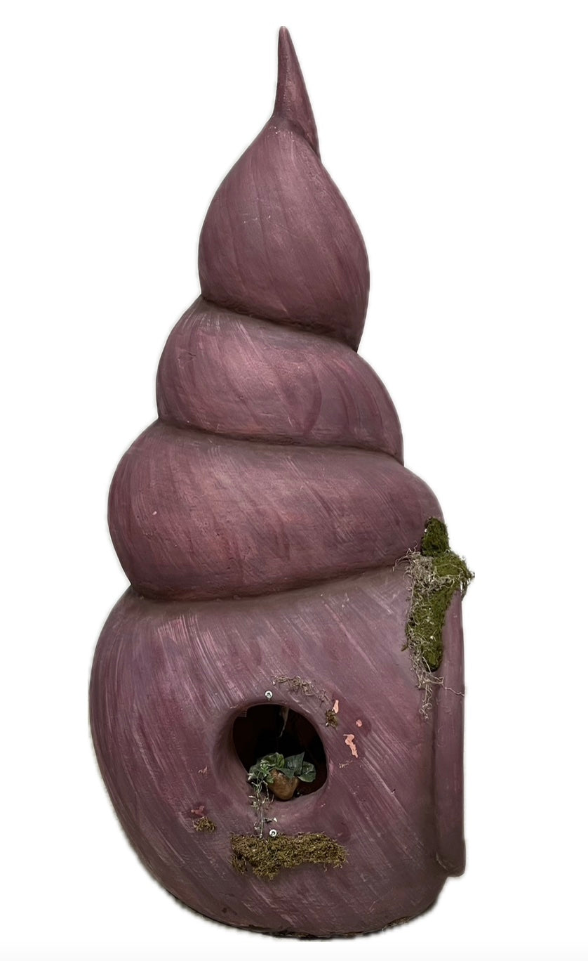 Snail shell purple