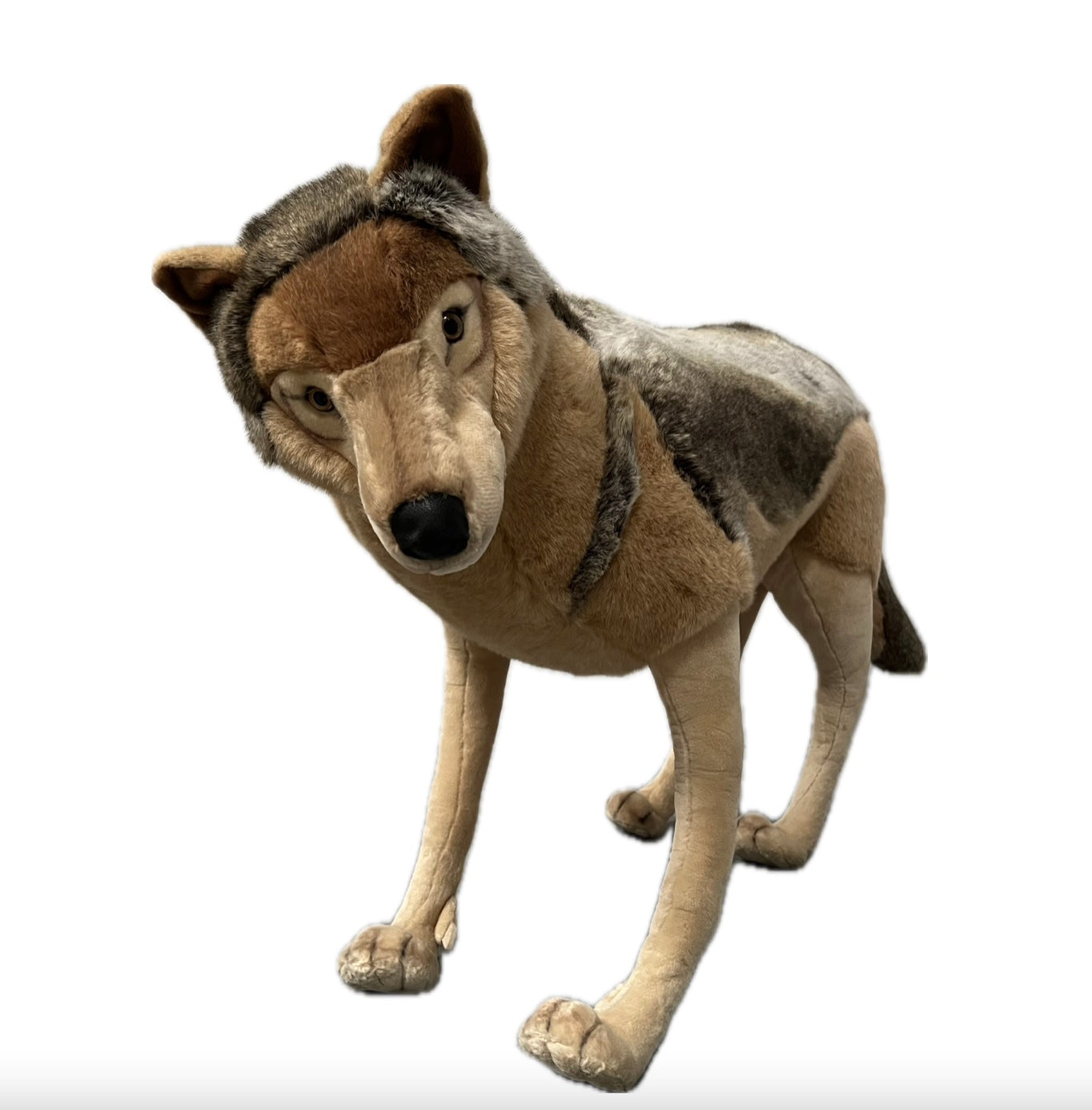 Wolf 90 cm (without movement)