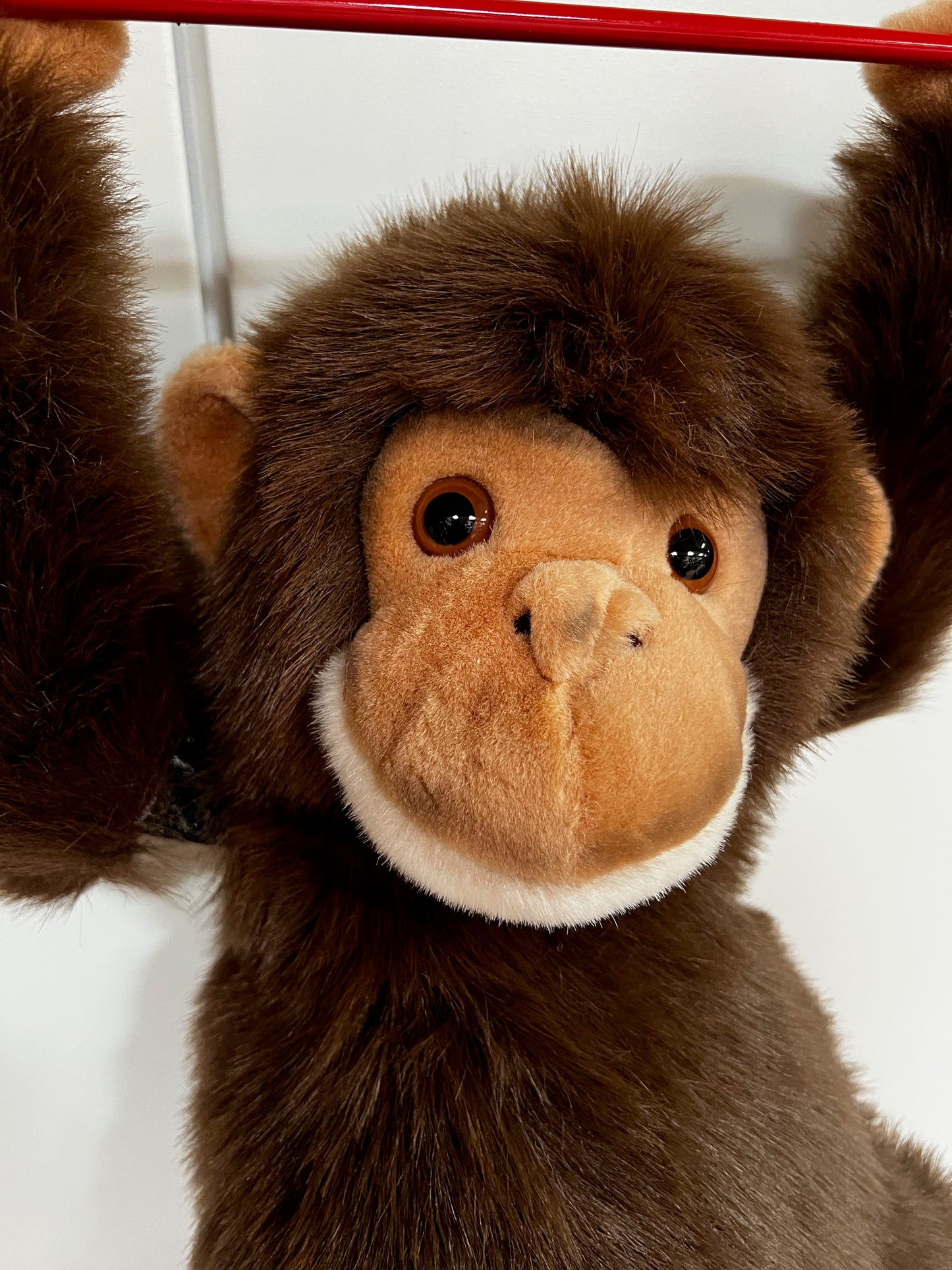 Monkey doing gymnastics on the high bar