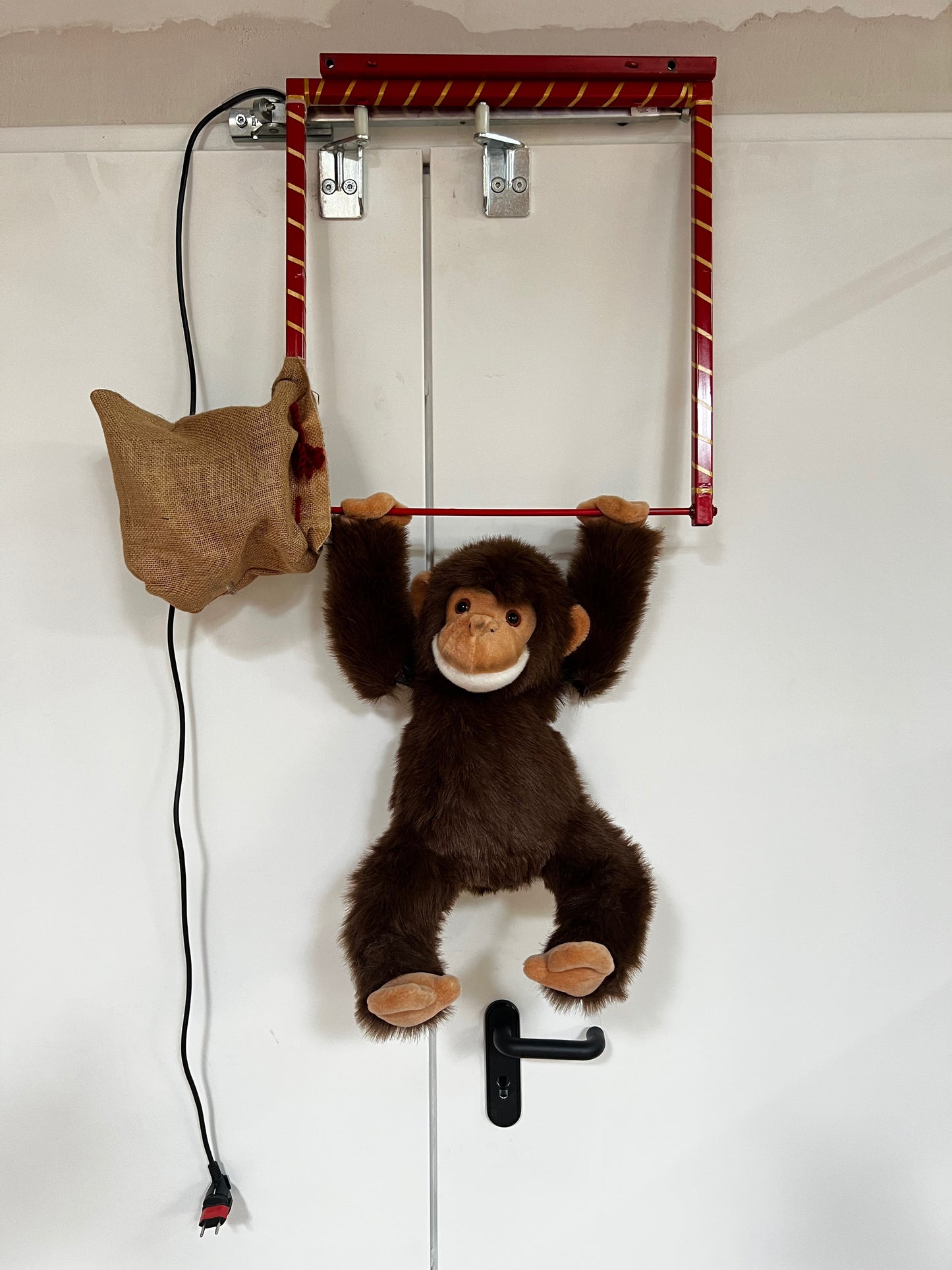 Monkey doing gymnastics on the high bar