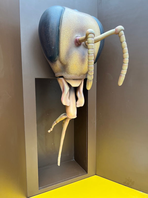 Bee head with proboscis 
