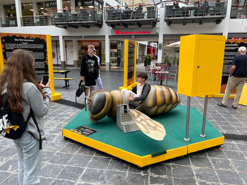 The rowing bee force gauge 