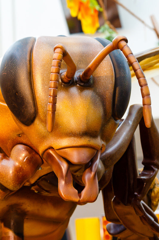 Bee 250 times enlarged on revolving stage