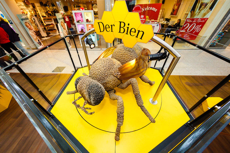 Display case "The Bee" 
