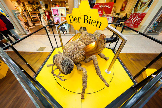 Display case "The Bee" 