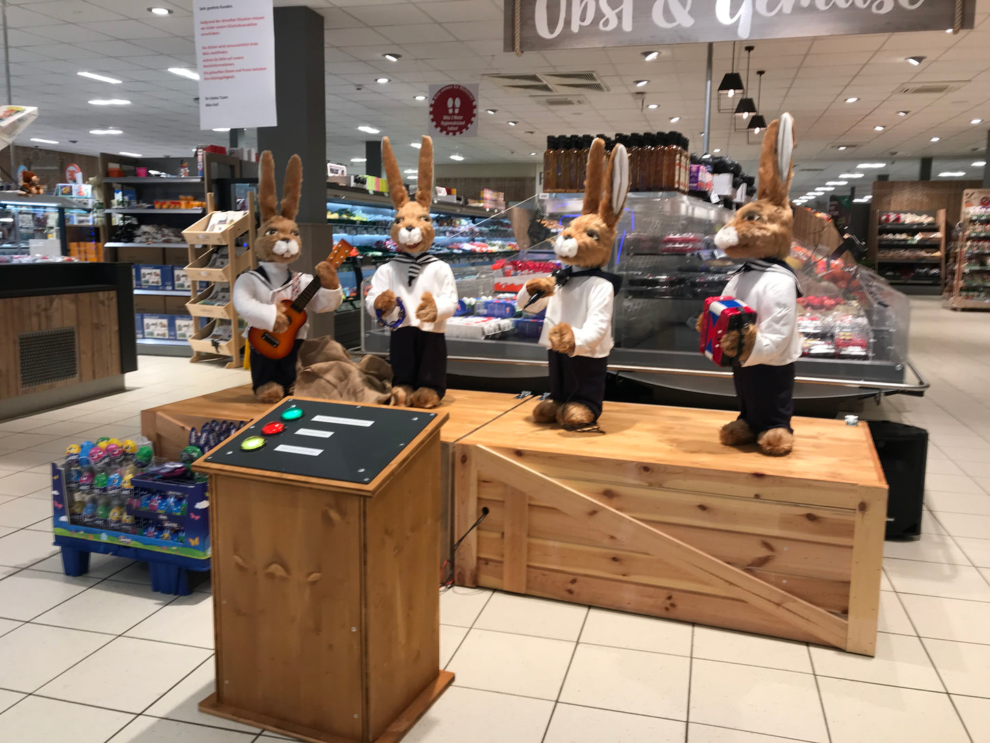 Singing, musical rabbits "Chanty Rabbits"