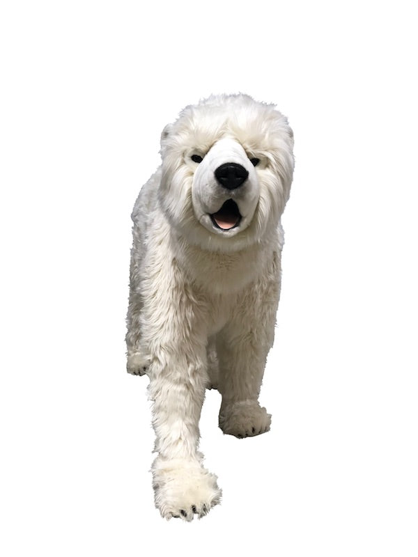 Polar bear on 4 paws (used sale from our rental stock)