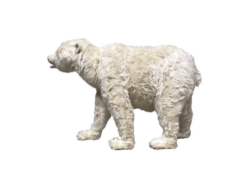 Polar bear on 4 paws (used sale from our rental stock)