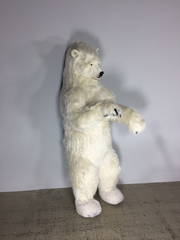 Eisbär auf den Hinterpfoten stehend ohne Bewegung