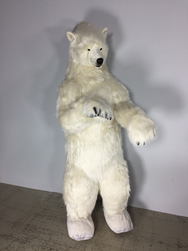 Eisbär auf den Hinterpfoten stehend ohne Bewegung