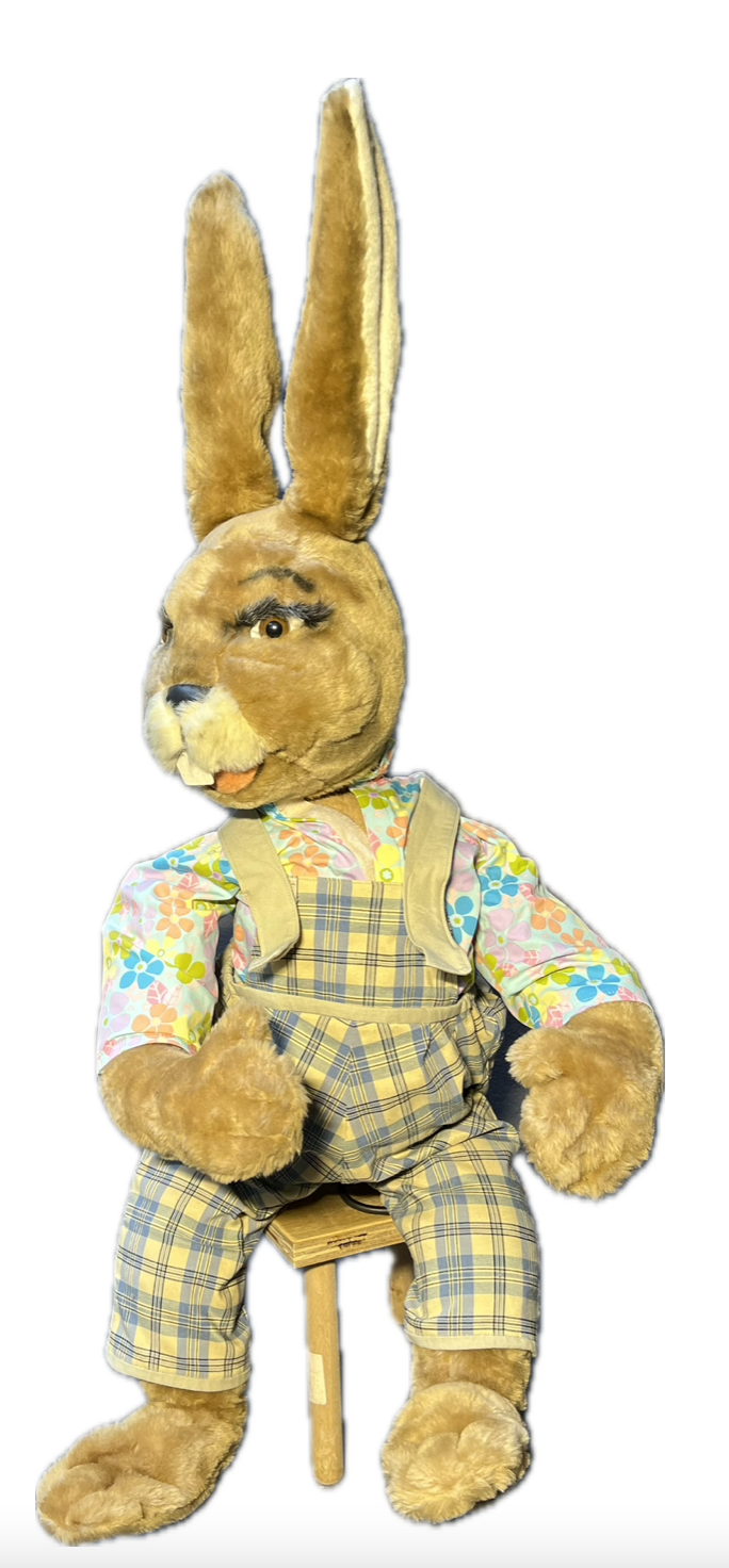 Rabbit sitting on stool 
