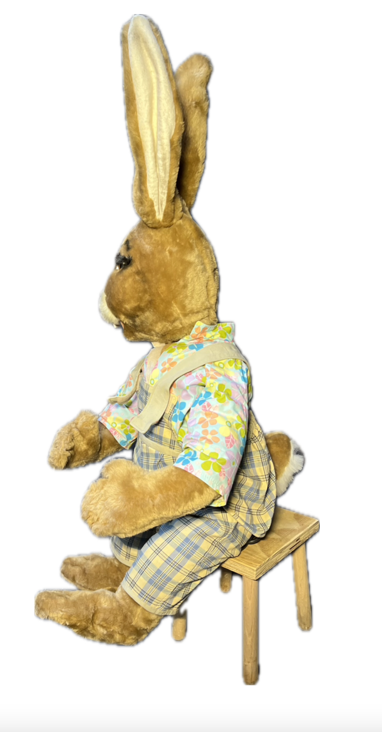 Rabbit sitting on stool 