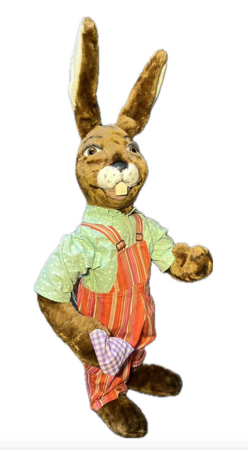 Rabbit with a cleaning rag in its paw 