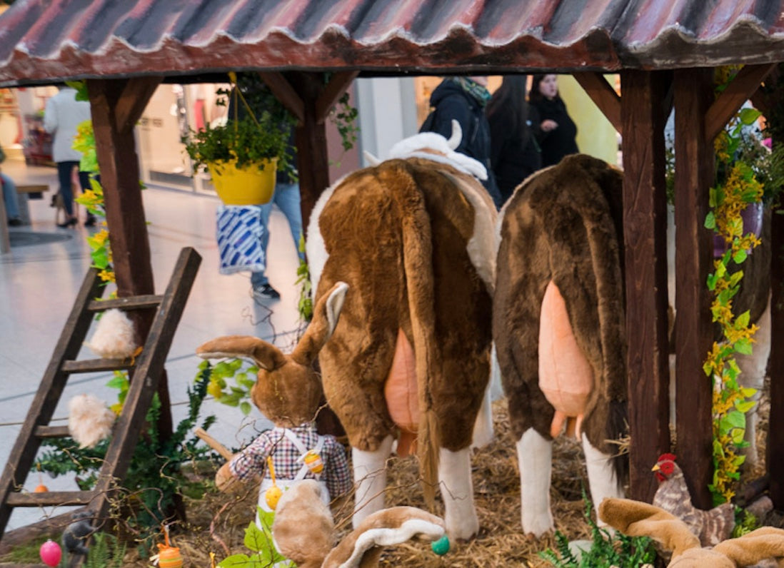 Ostern auf dem Bauernhof - Szene Kuhstall
